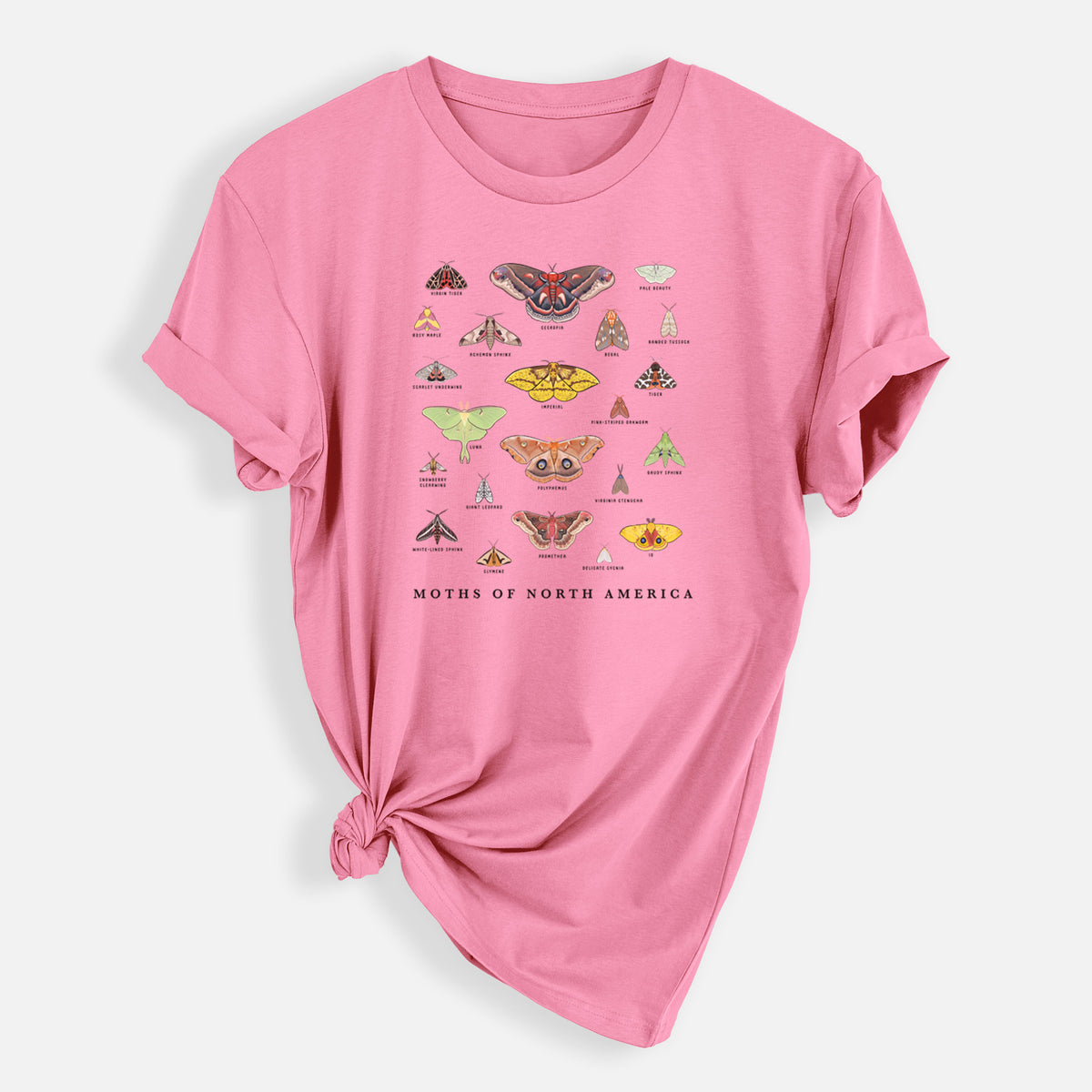 Moths of North America - Mens Everyday Staple Tee