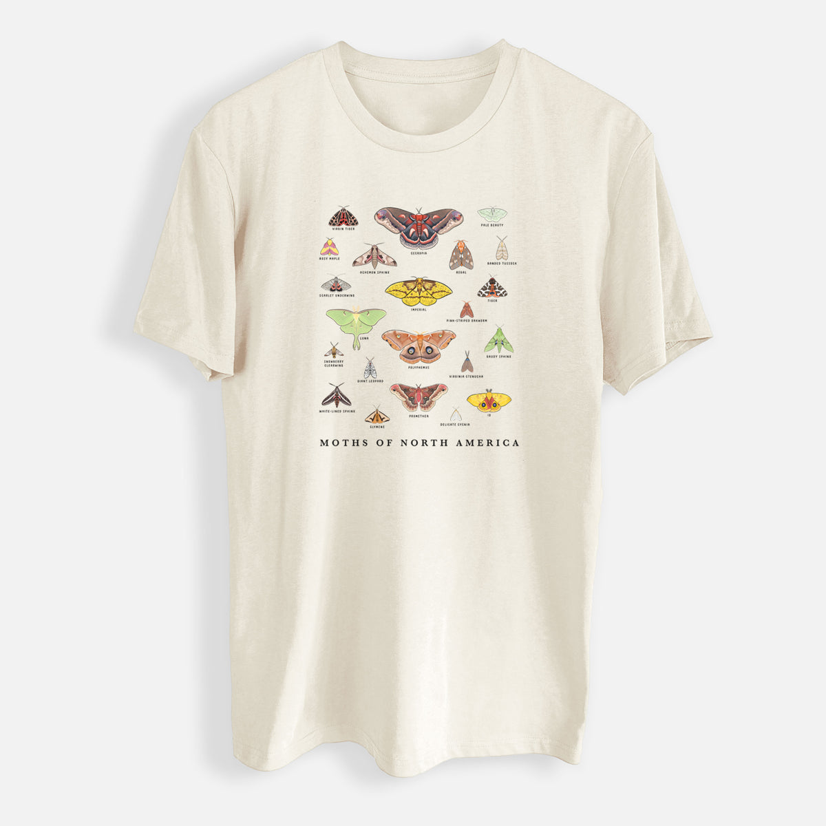 Moths of North America - Mens Everyday Staple Tee