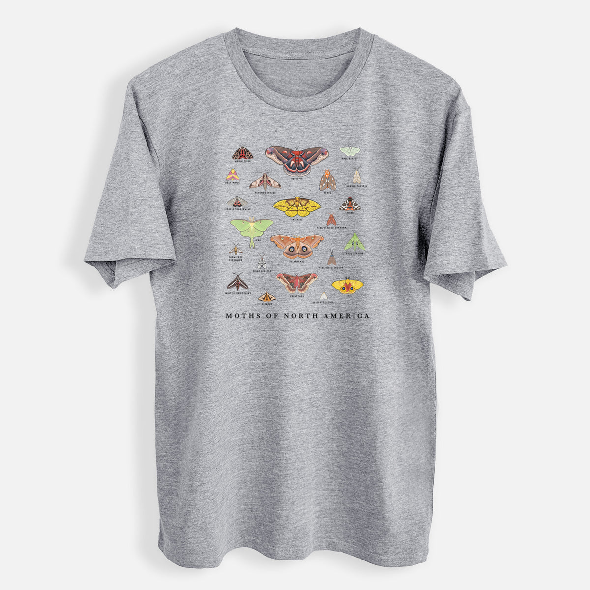 Moths of North America - Mens Everyday Staple Tee