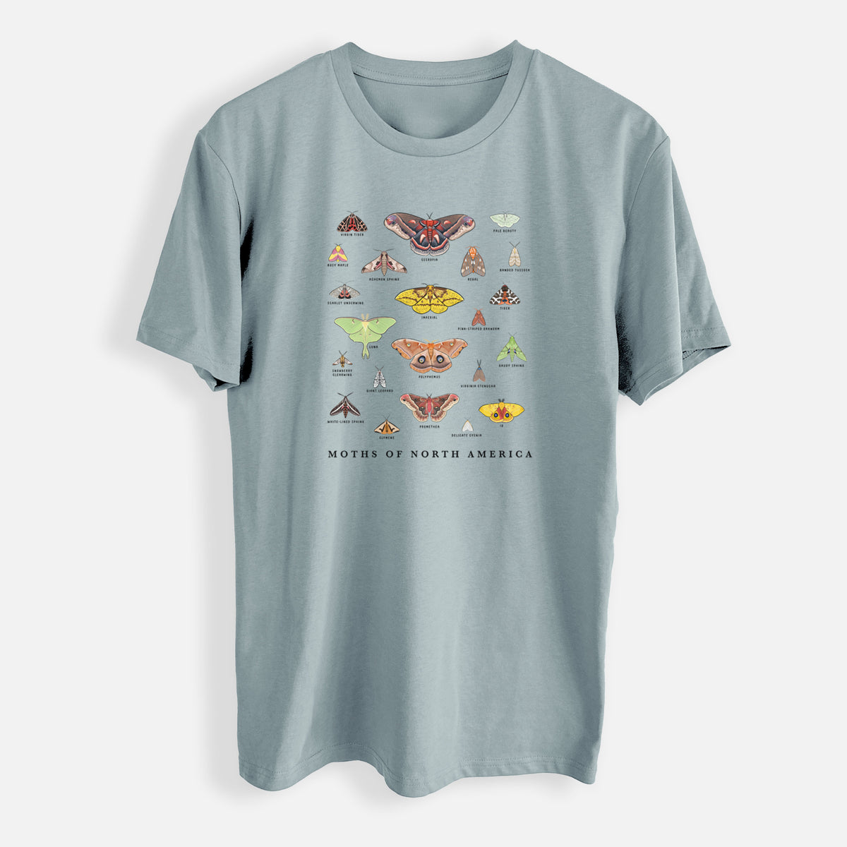 Moths of North America - Mens Everyday Staple Tee