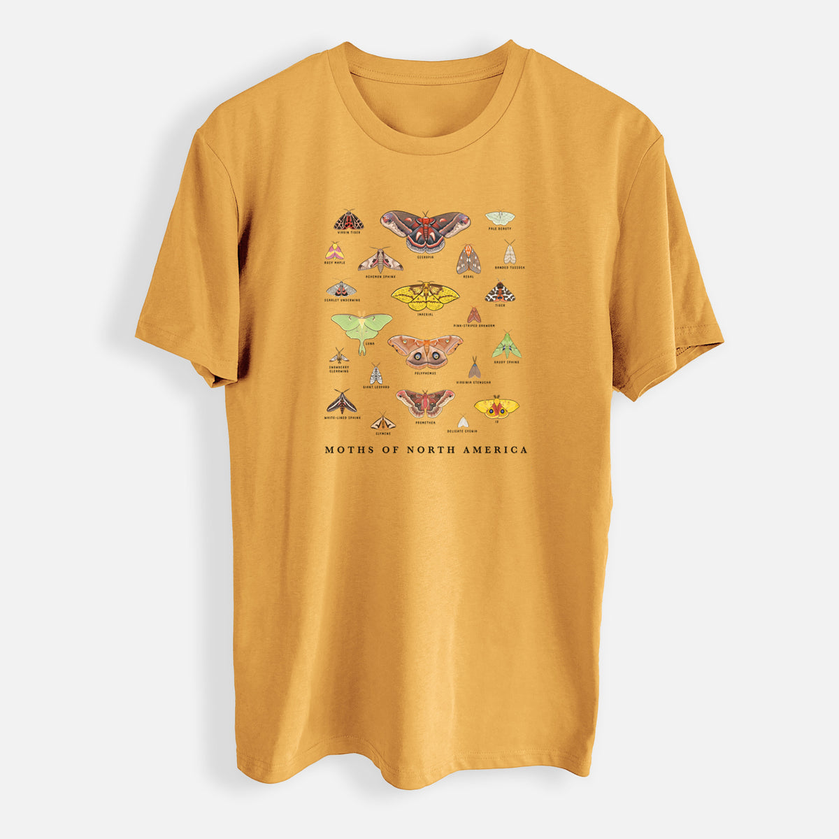 Moths of North America - Mens Everyday Staple Tee