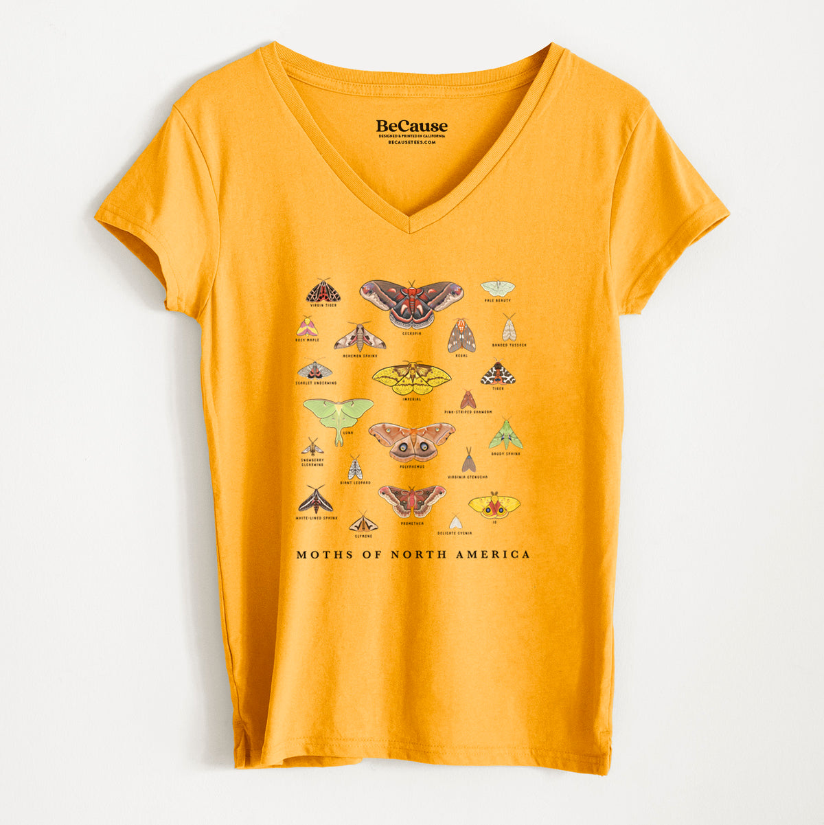 Moths of North America - Women&#39;s 100% Recycled V-neck