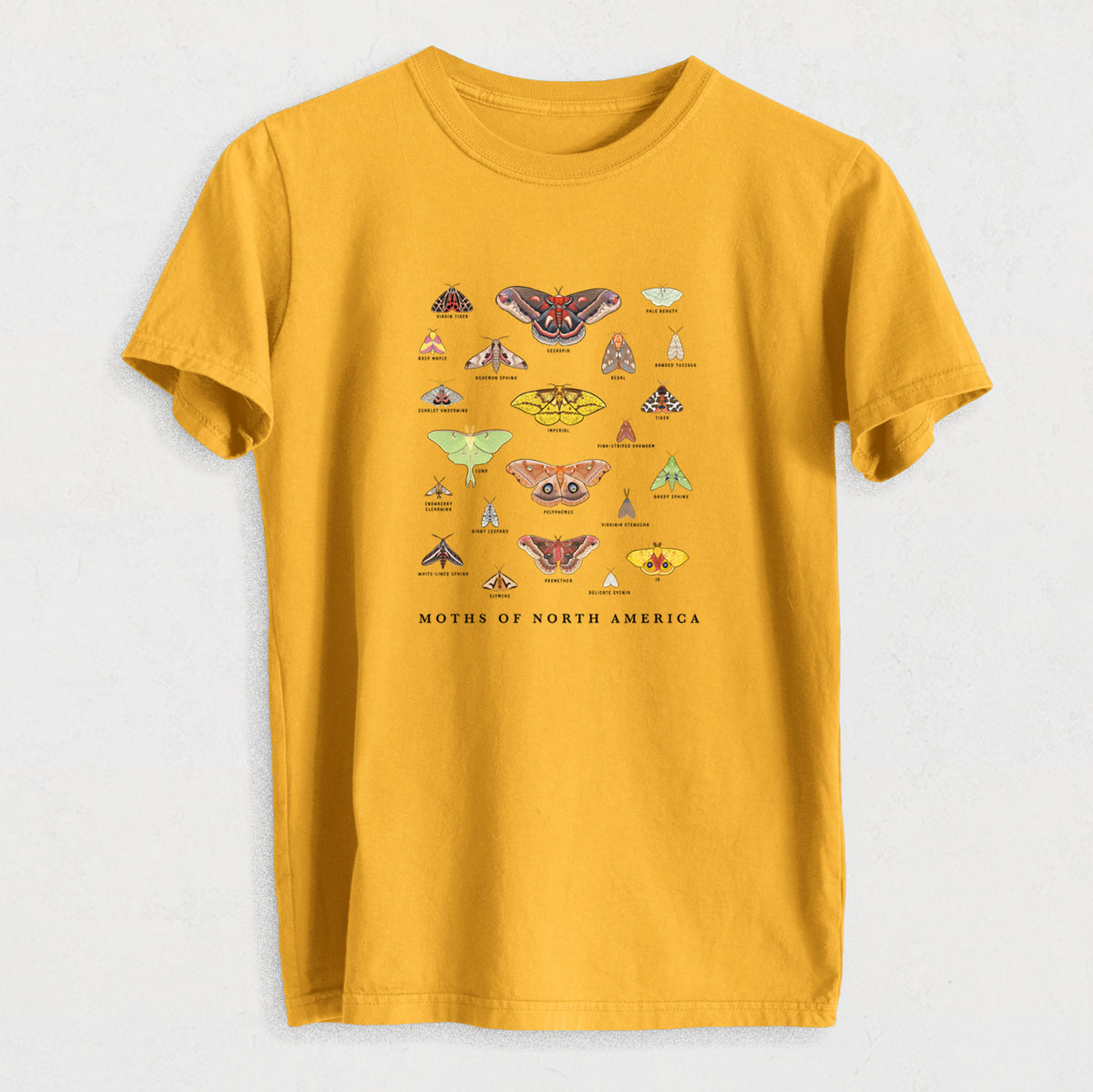 Moths of North America - Heavyweight Men&#39;s 100% Organic Cotton Tee