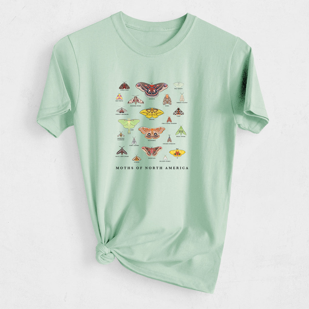 Moths of North America - Heavyweight Men&#39;s 100% Organic Cotton Tee