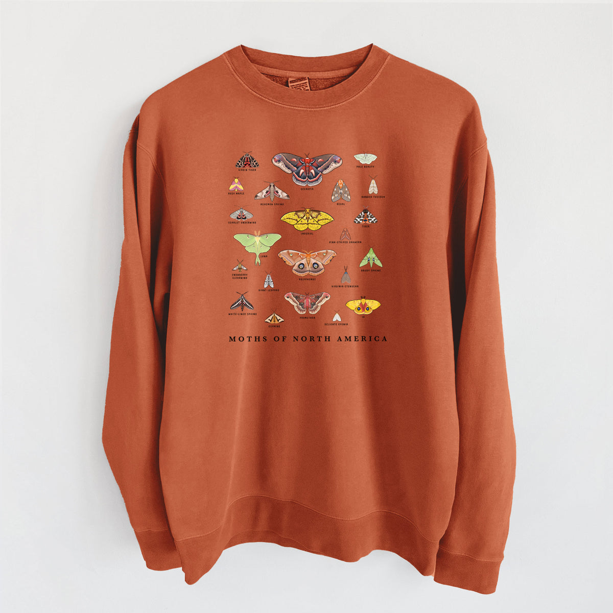 Moths of North America - Unisex Pigment Dyed Crew Sweatshirt in Amber