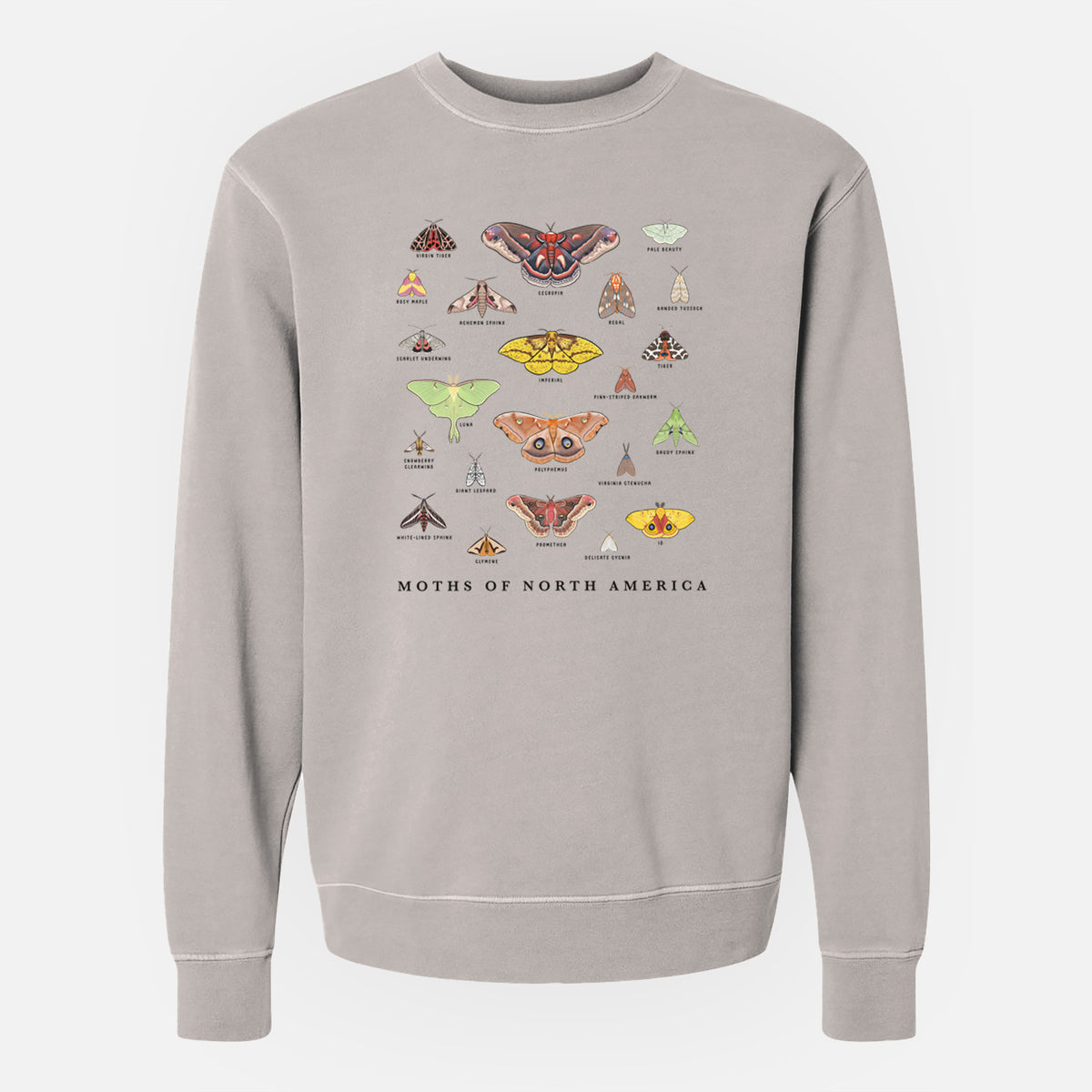 Moths of North America - Unisex Pigment Dyed Crew Sweatshirt