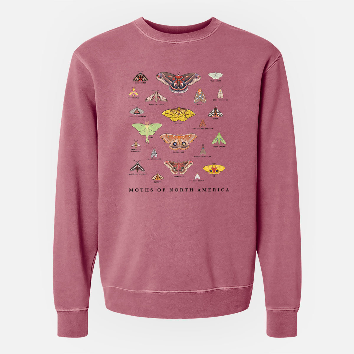 Moths of North America - Unisex Pigment Dyed Crew Sweatshirt