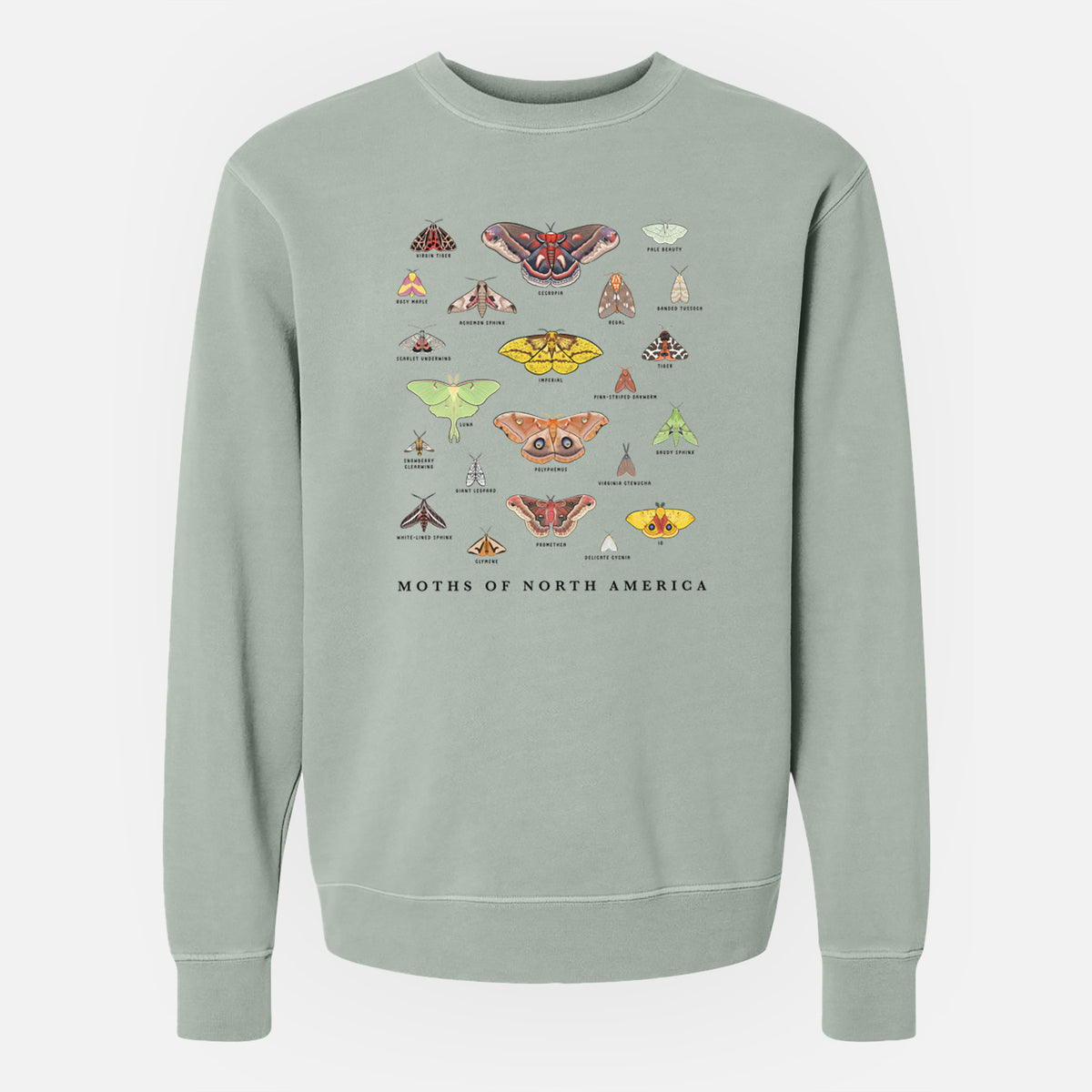 Moths of North America - Unisex Pigment Dyed Crew Sweatshirt