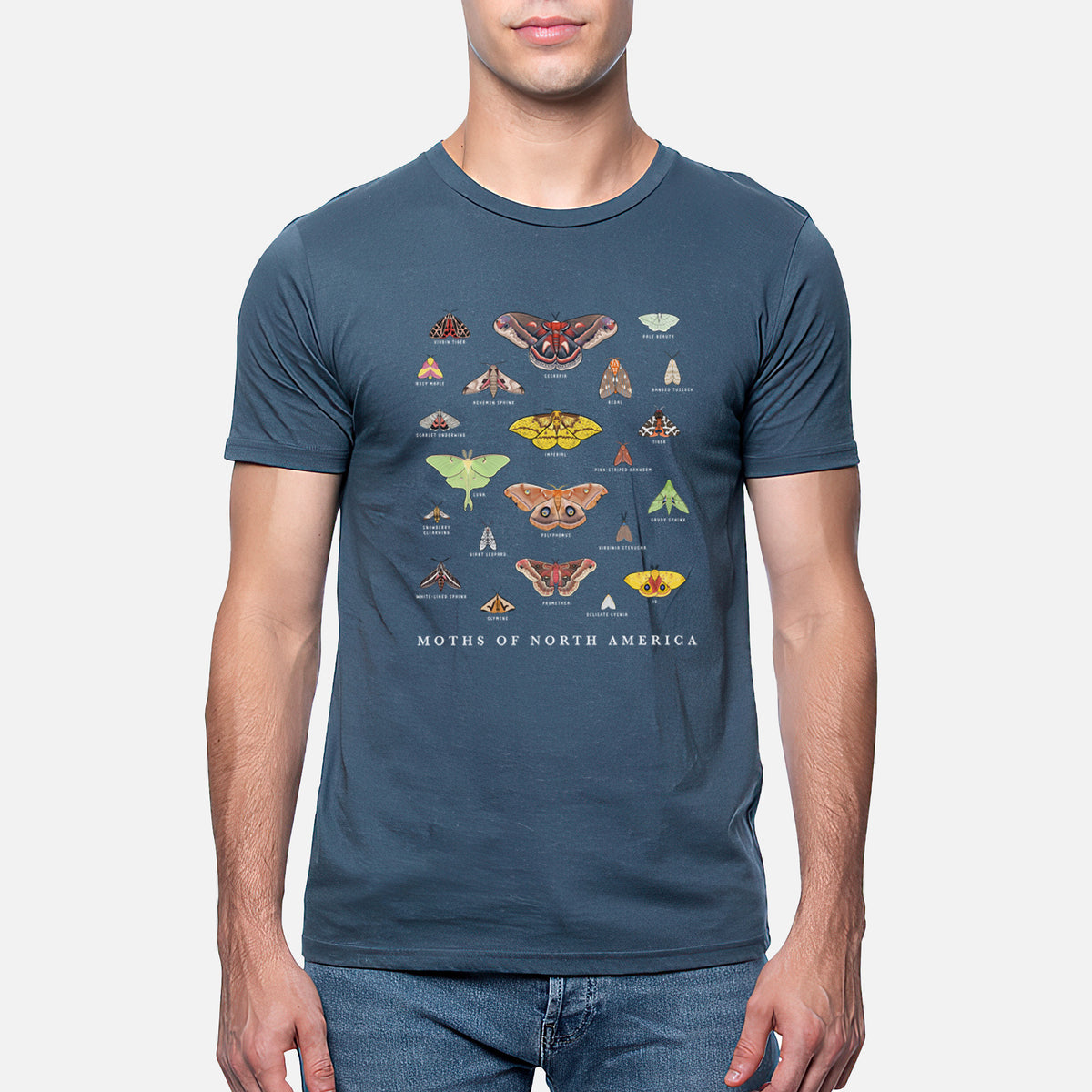 Moths of North America - Unisex Crewneck - Made in USA - 100% Organic Cotton