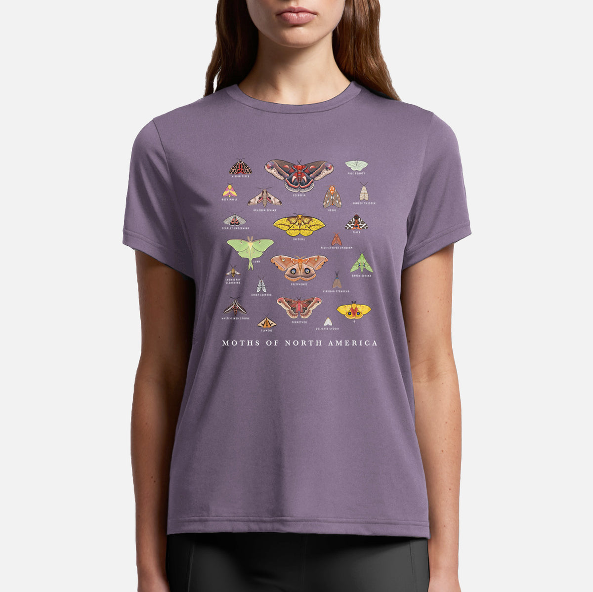 Moths of North America - Womens Everyday Maple Tee