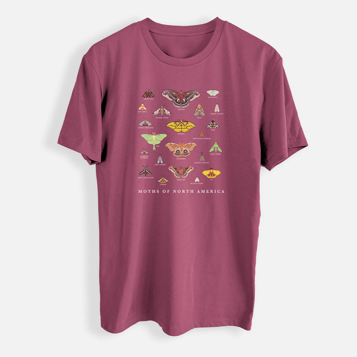 Moths of North America - Mens Everyday Staple Tee