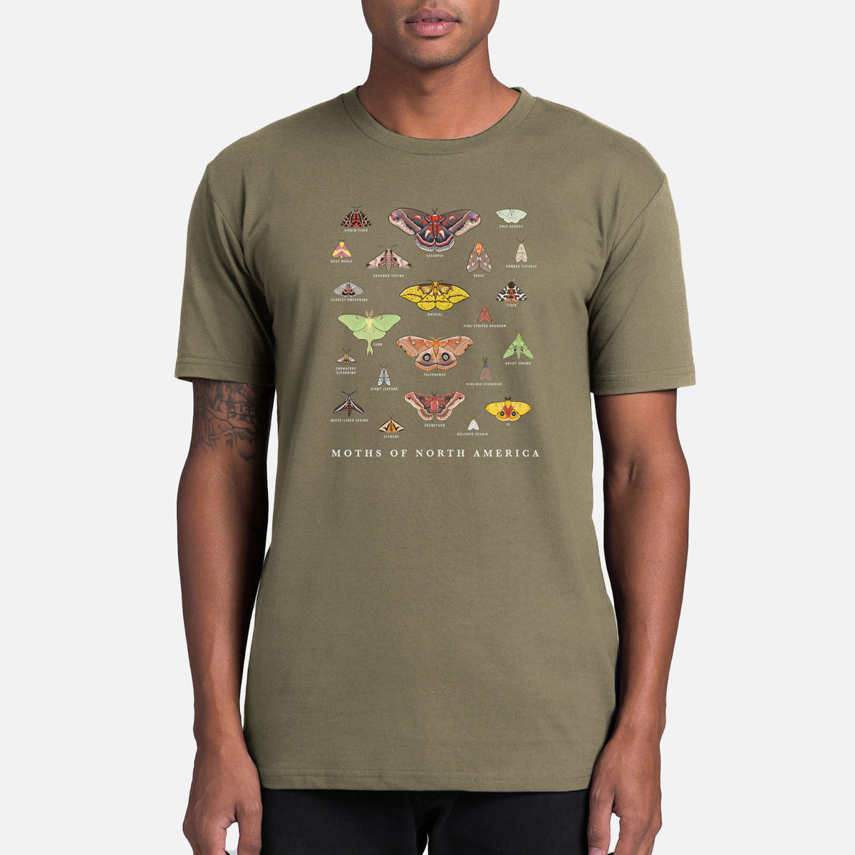 Moths of North America - Mens Everyday Staple Tee