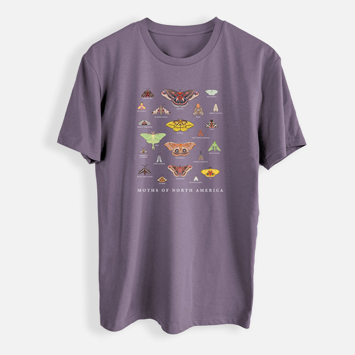 Moths of North America - Mens Everyday Staple Tee