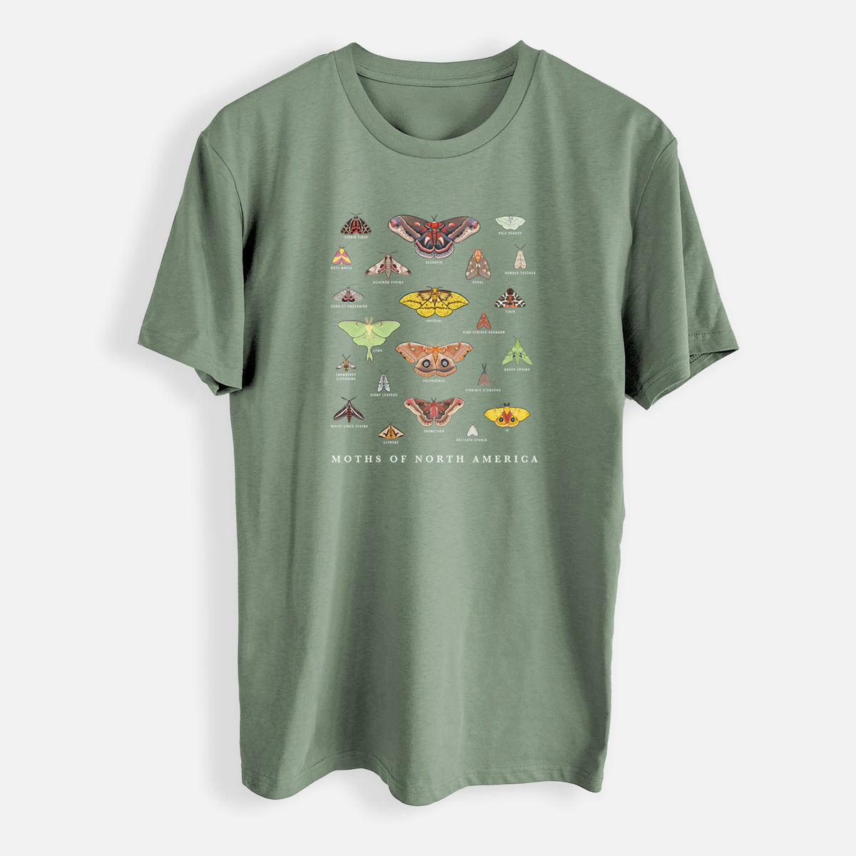 Moths of North America - Mens Everyday Staple Tee