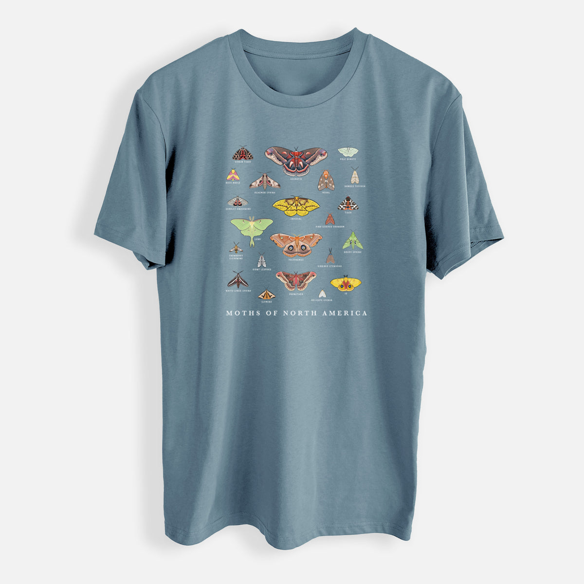 Moths of North America - Mens Everyday Staple Tee