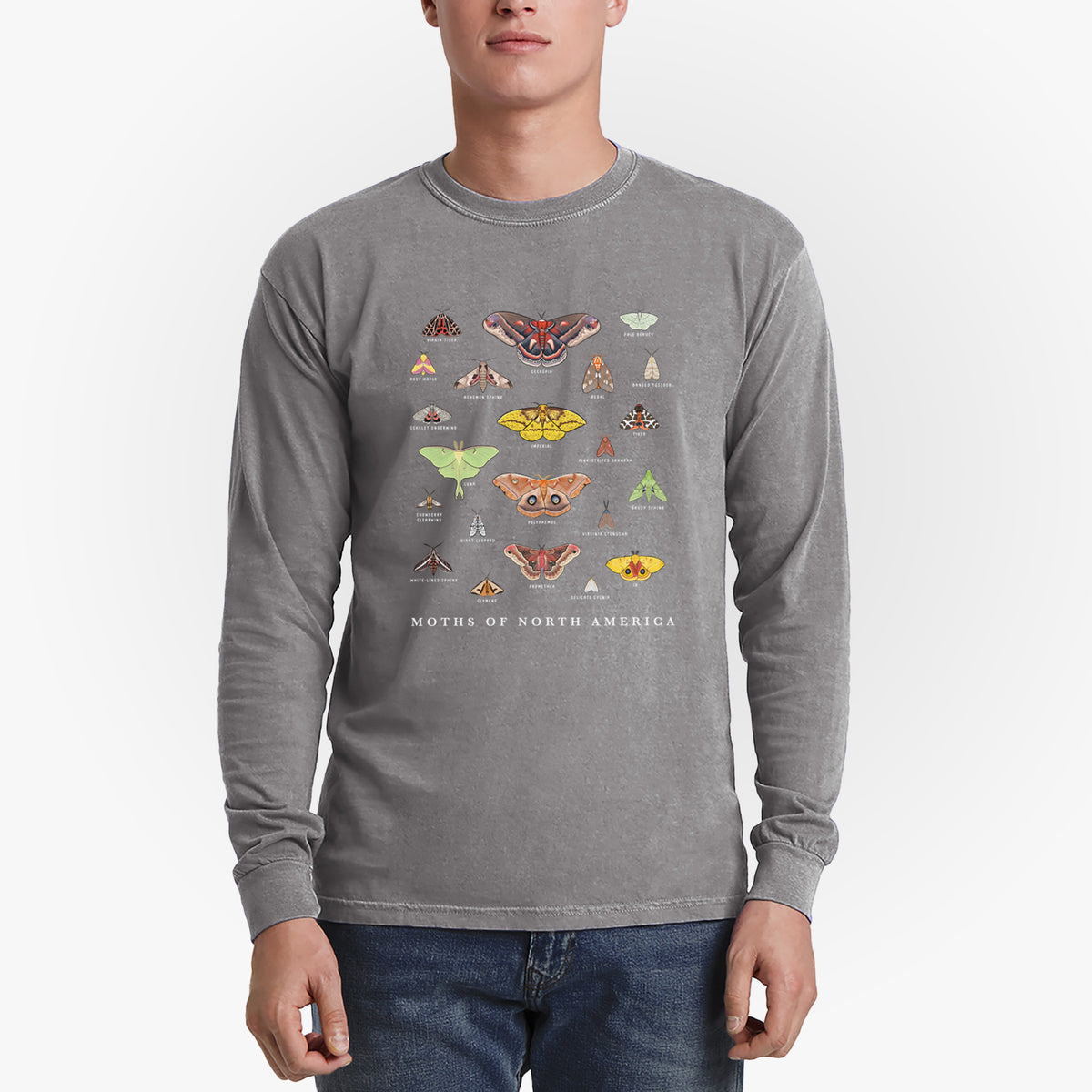 Moths of North America - Heavyweight 100% Cotton Long Sleeve