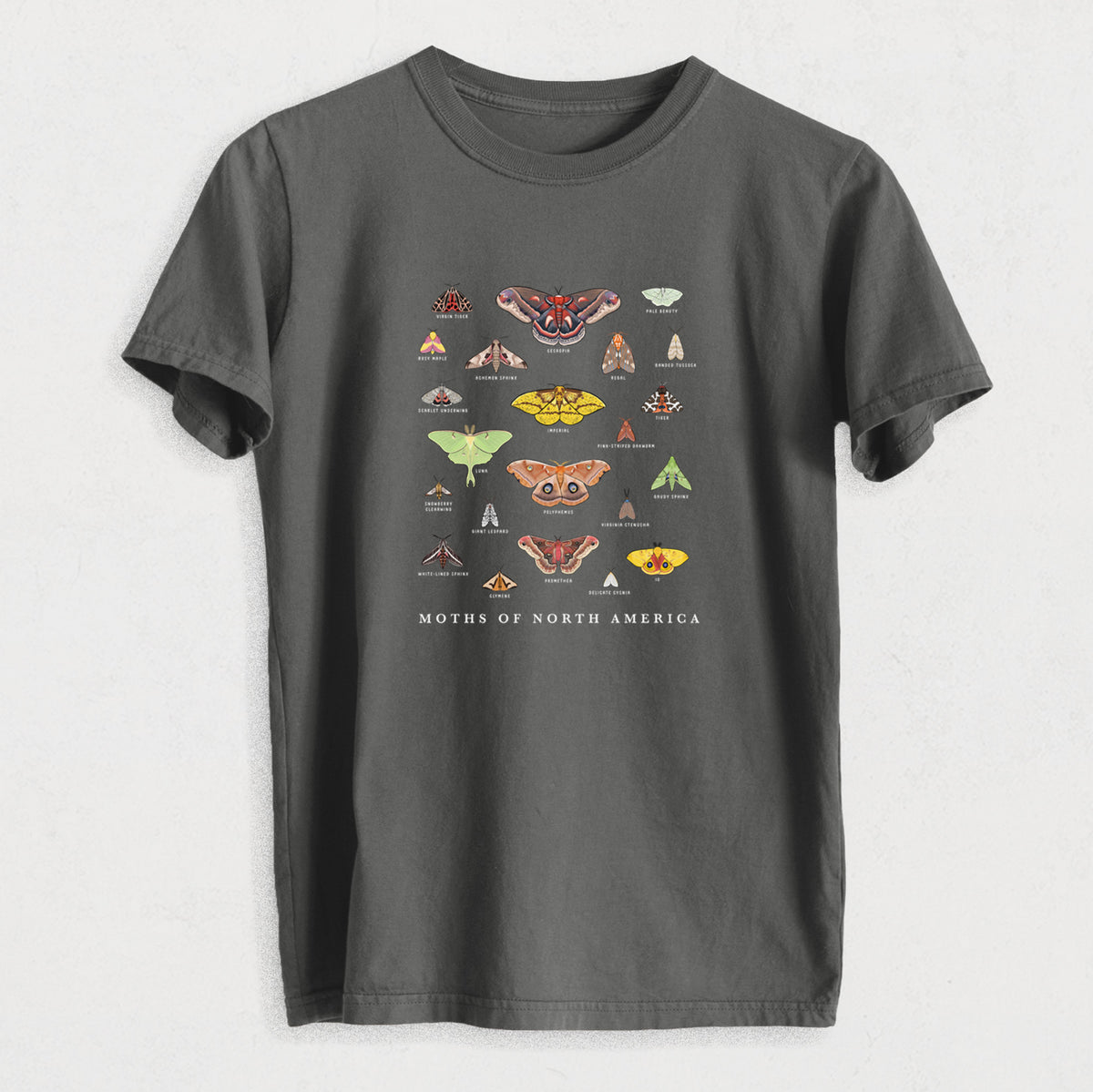 Moths of North America - Heavyweight Men&#39;s 100% Organic Cotton Tee