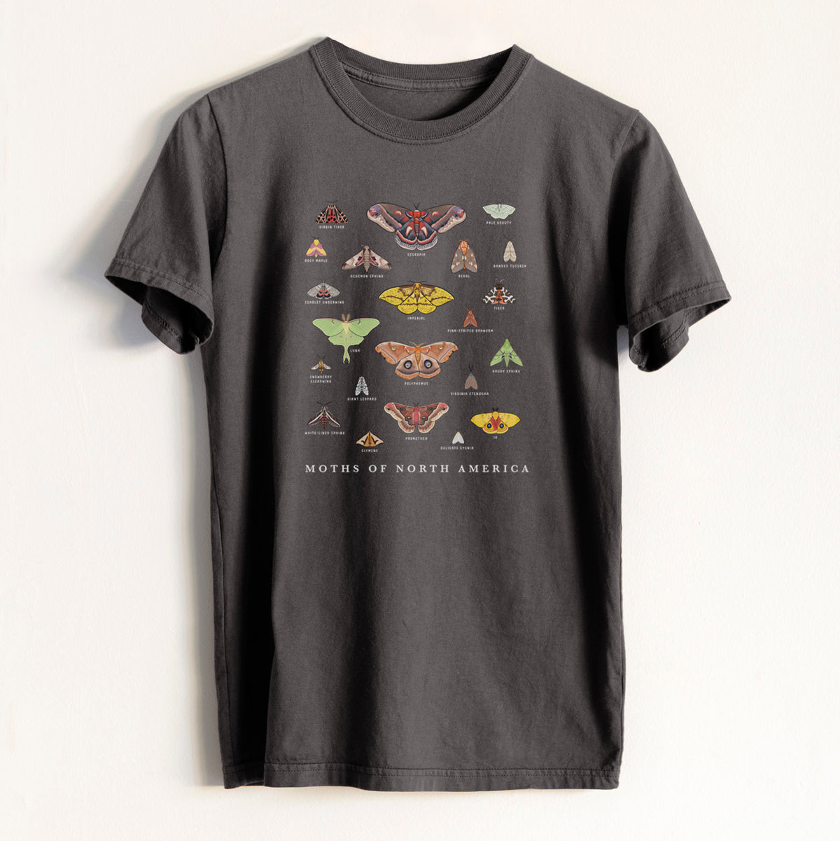 Moths of North America - Heavyweight Men&#39;s 100% Organic Cotton Tee