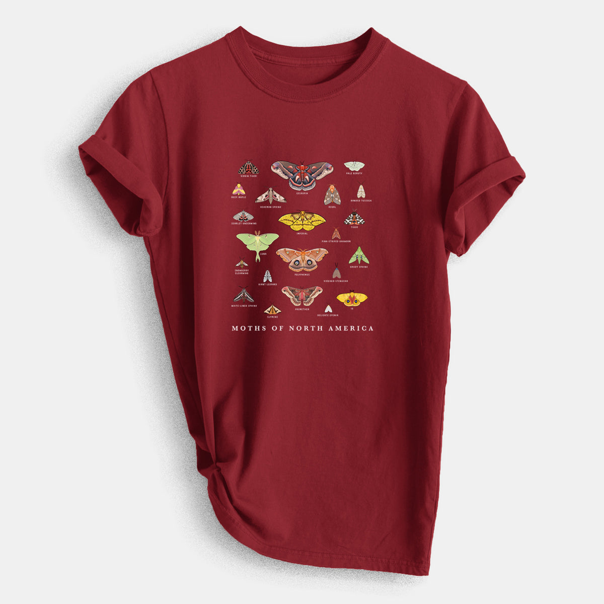 Moths of North America - Heavyweight Men&#39;s 100% Organic Cotton Tee