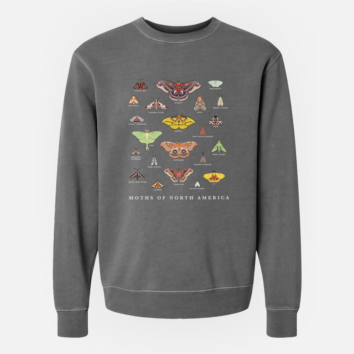 Moths of North America - Unisex Pigment Dyed Crew Sweatshirt