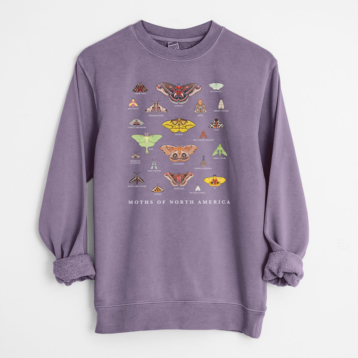 Moths of North America - Unisex Pigment Dyed Crew Sweatshirt