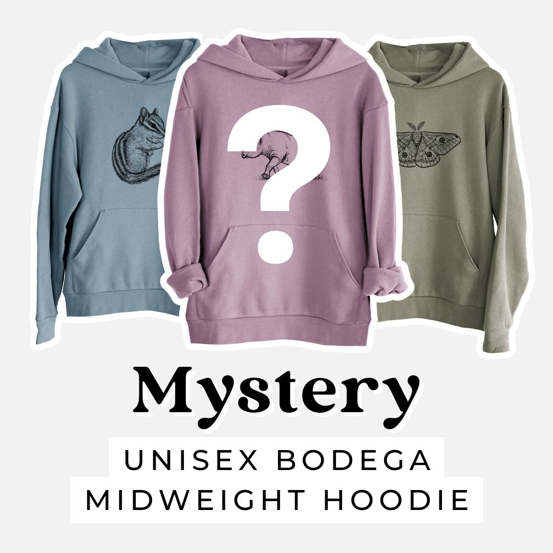 Sweatshirt Mystery Grab Bag