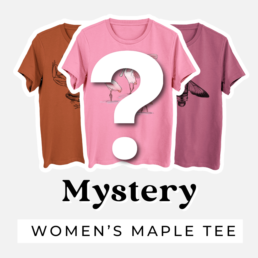 T-shirt Mystery Grab Bag