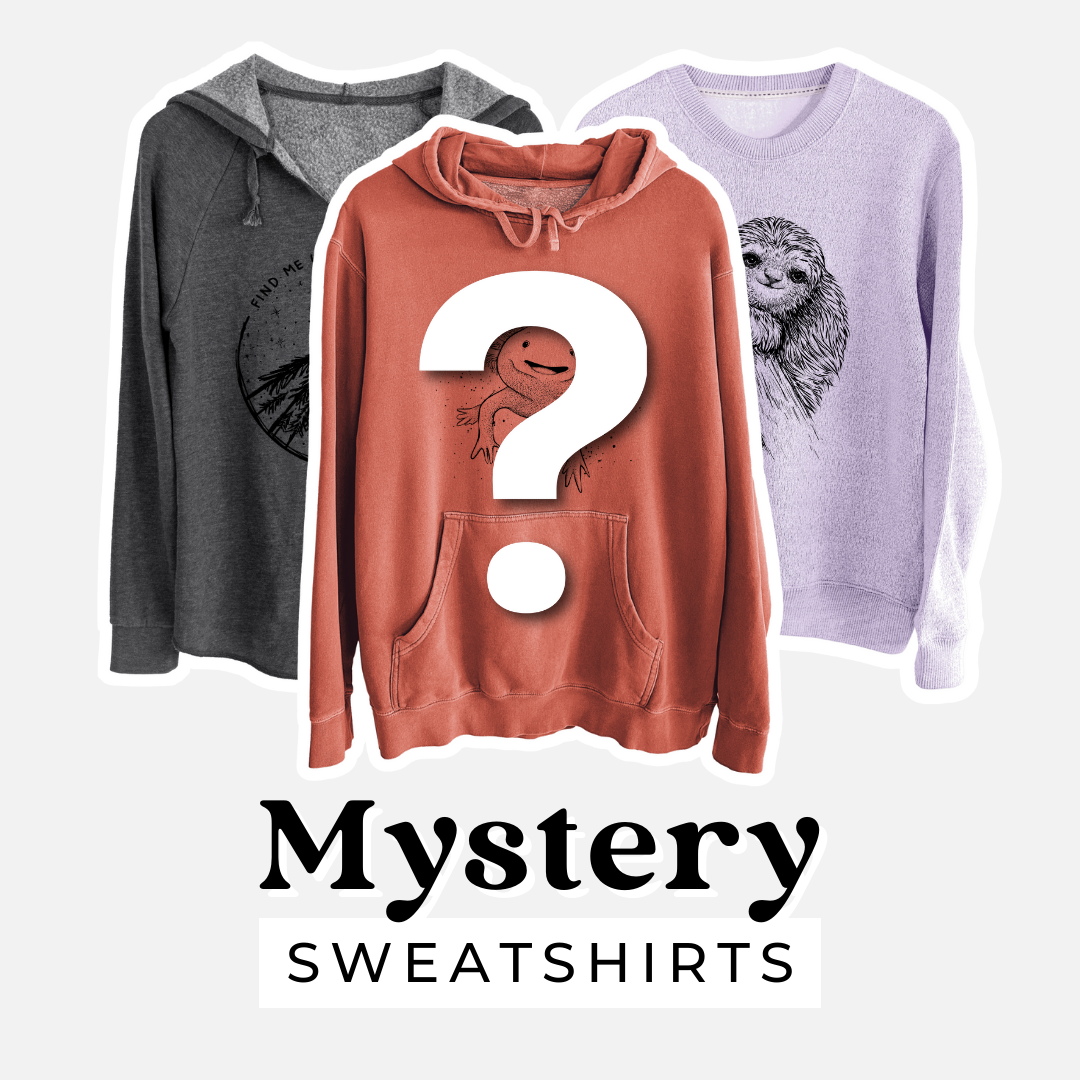 Sweatshirt Mystery Grab Bag