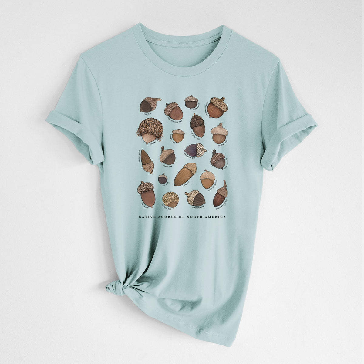 Native Acorns of North America - Lightweight 100% Cotton Unisex Crewneck
