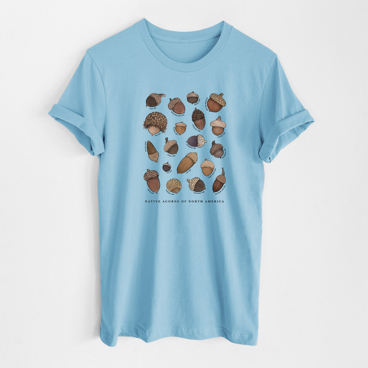 Native Acorns of North America - Lightweight 100% Cotton Unisex Crewneck