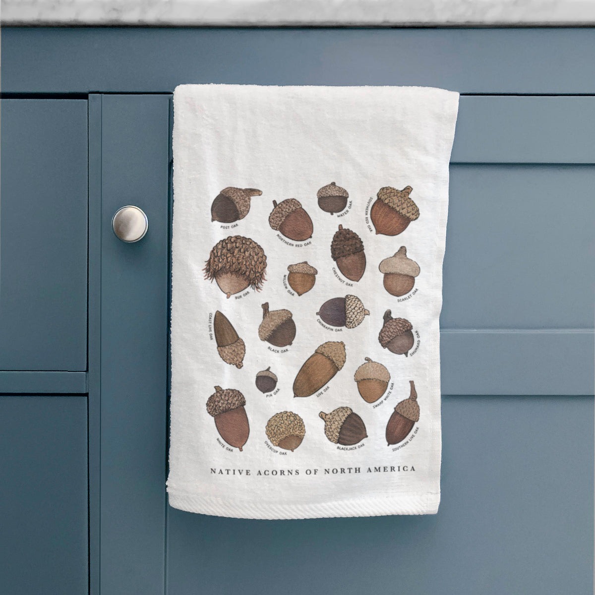 Native Acorns of North America Premium Hand Towel