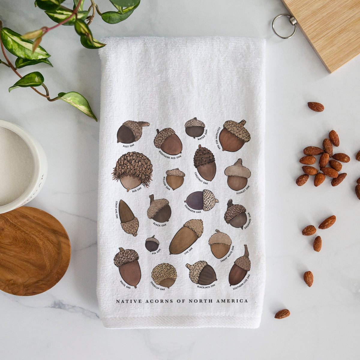 Native Acorns of North America Premium Hand Towel