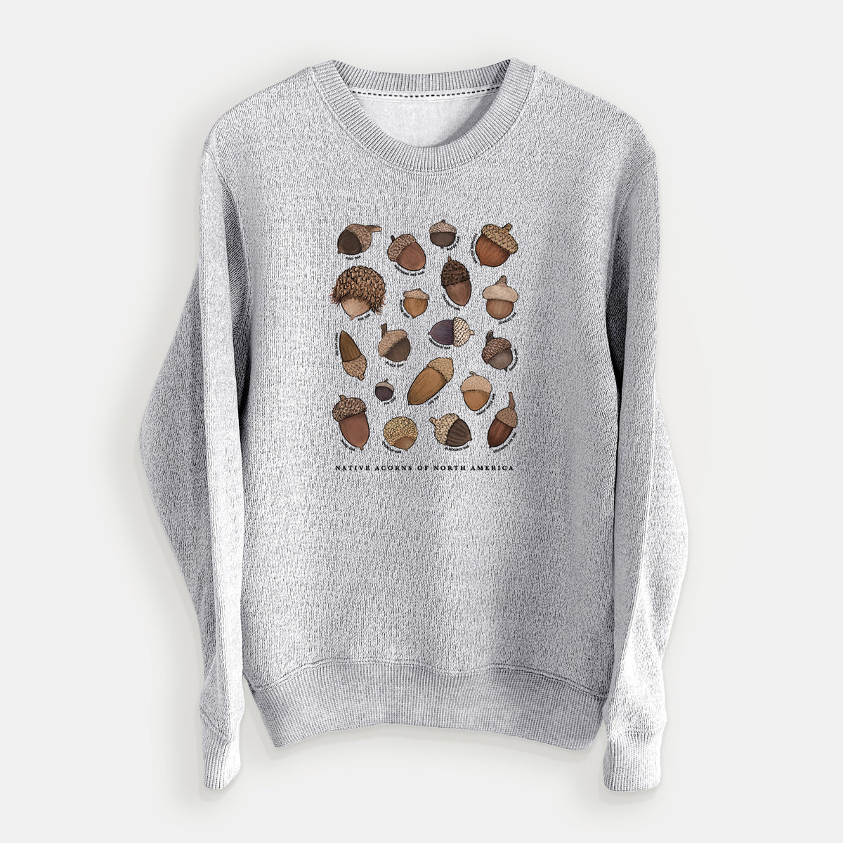 Native Acorns of North America - Knit Sweatshirt