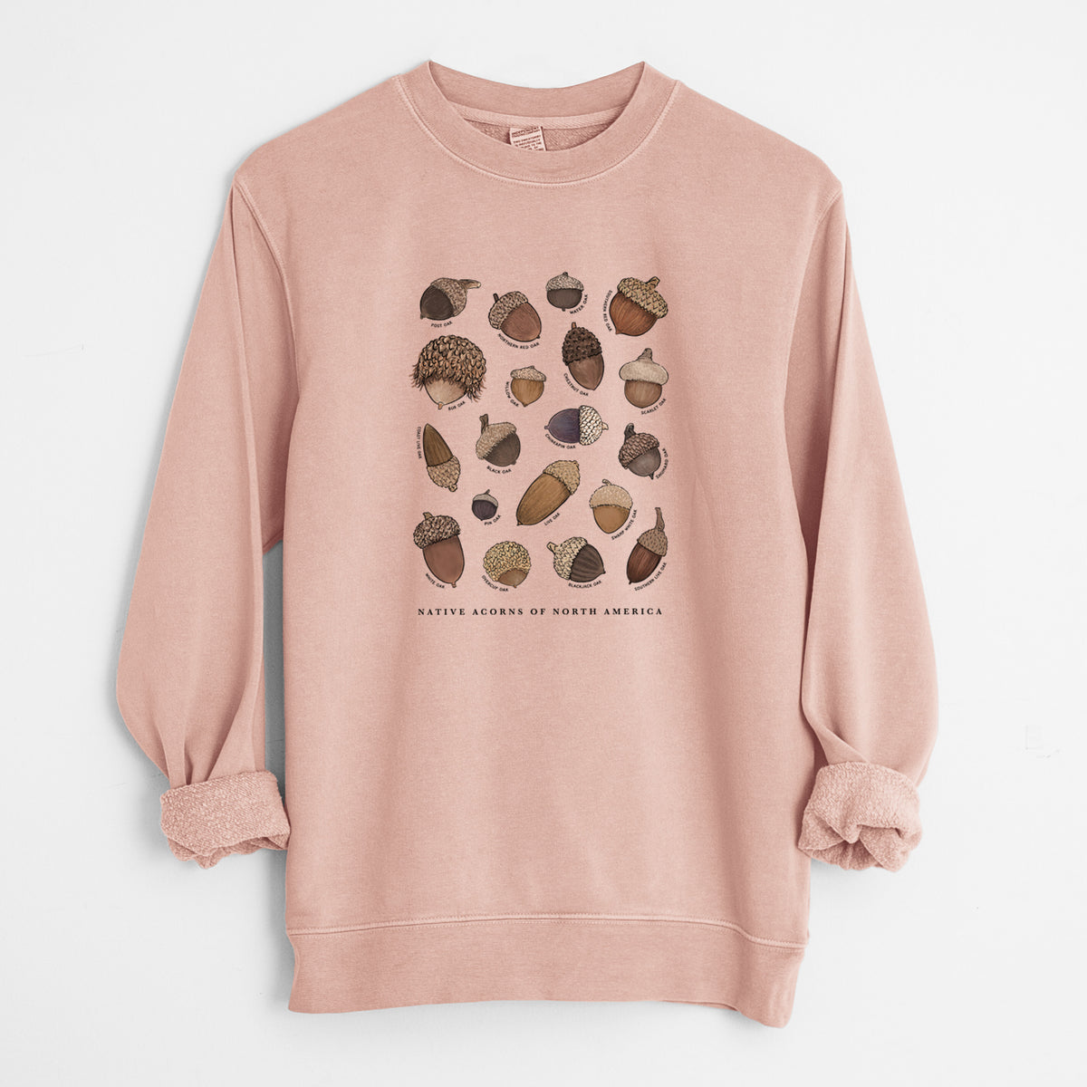 Native Acorns of North America - Unisex Pigment Dyed Crew Sweatshirt