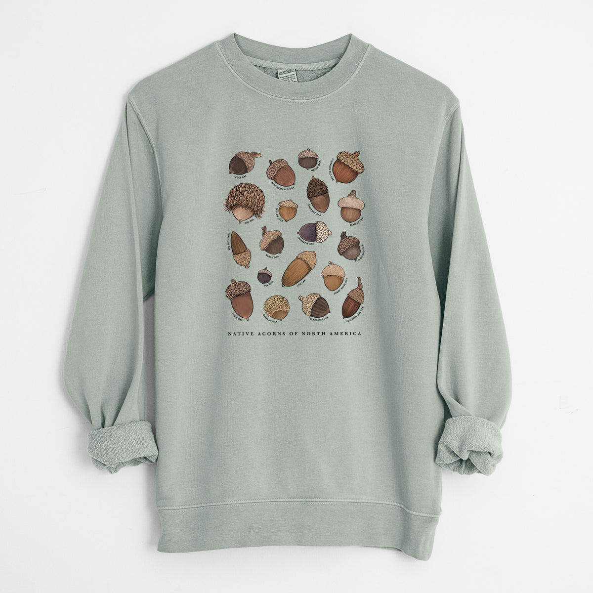 Native Acorns of North America - Unisex Pigment Dyed Crew Sweatshirt