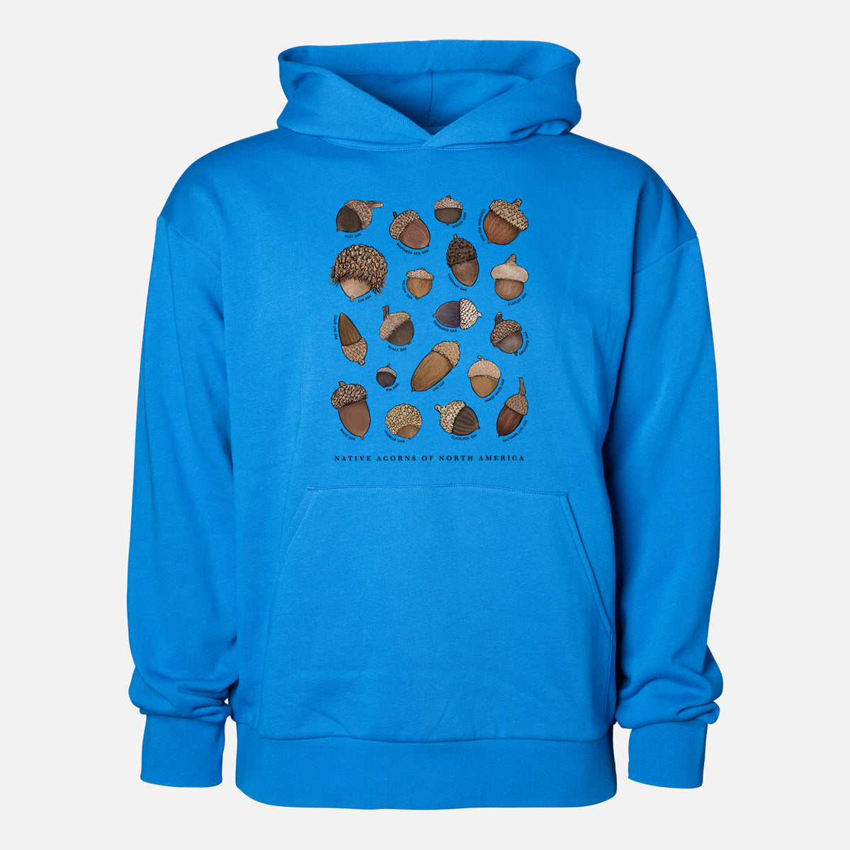 Native Acorns of North America - Statement Midweight Hoodie in Azure Blue, shown from the front with the design printed on the chest above a front kangaroo pocket.