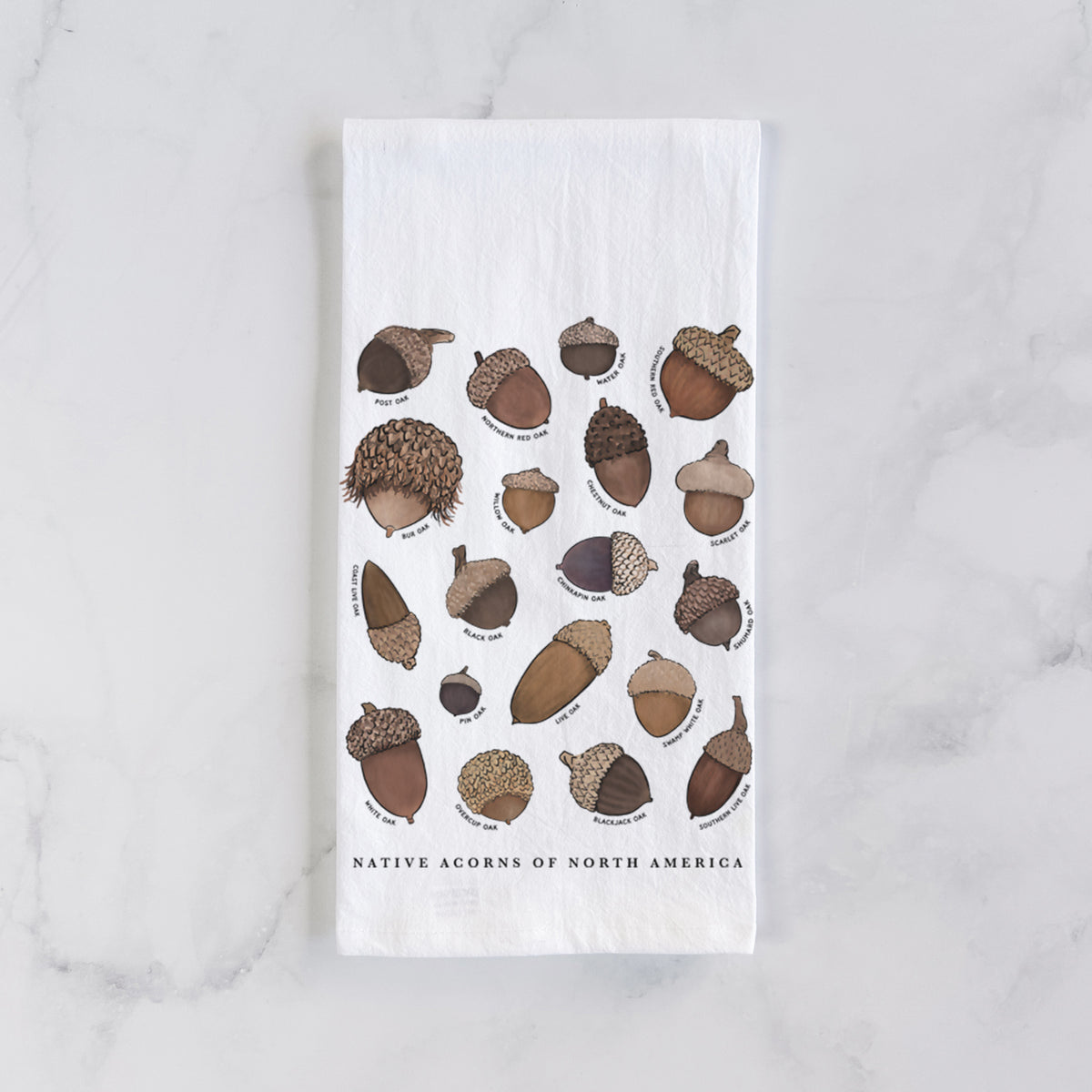 Native Acorns of North America Tea Towel