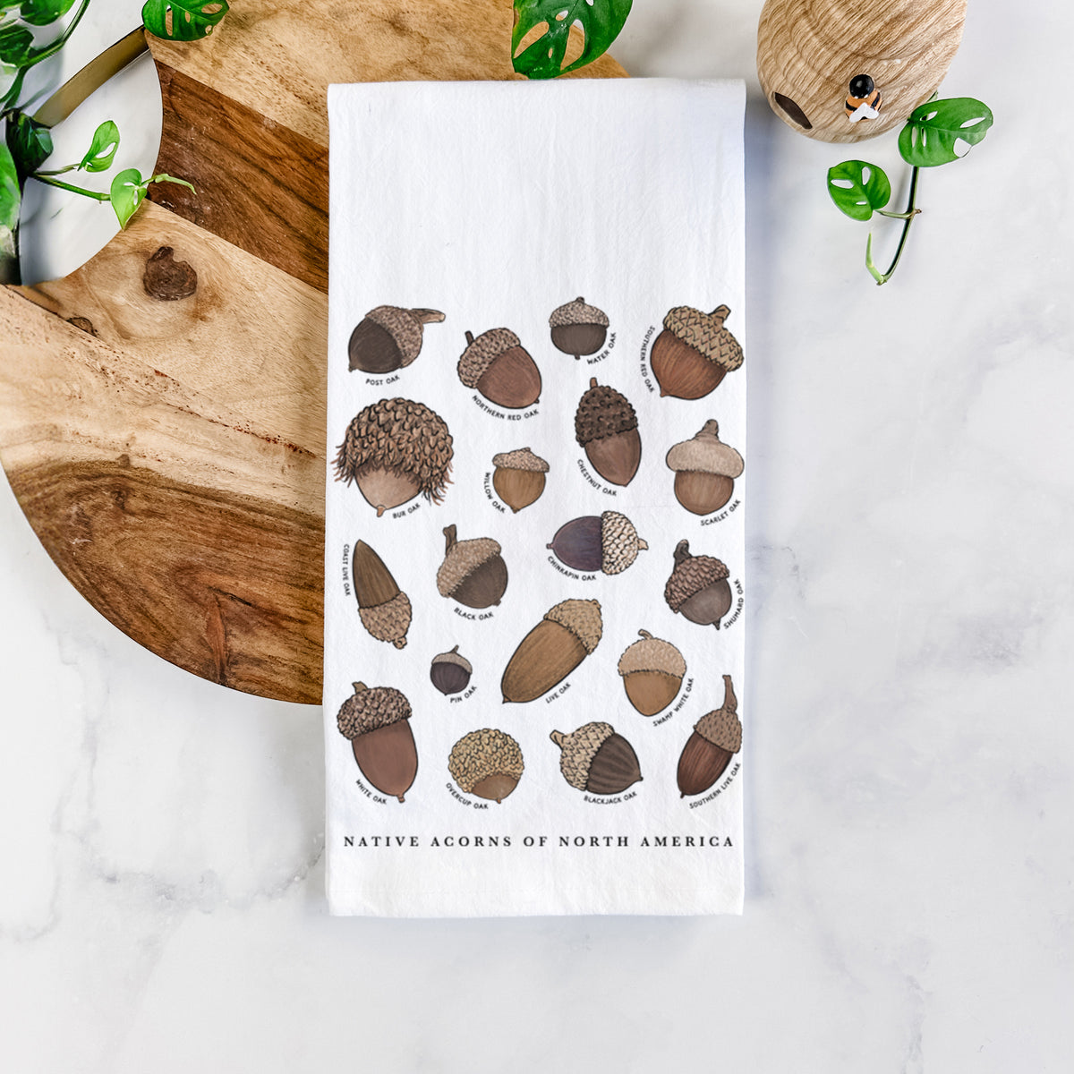 Native Acorns of North America Tea Towel