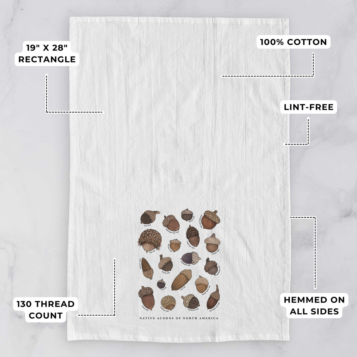 Native Acorns of North America Tea Towel