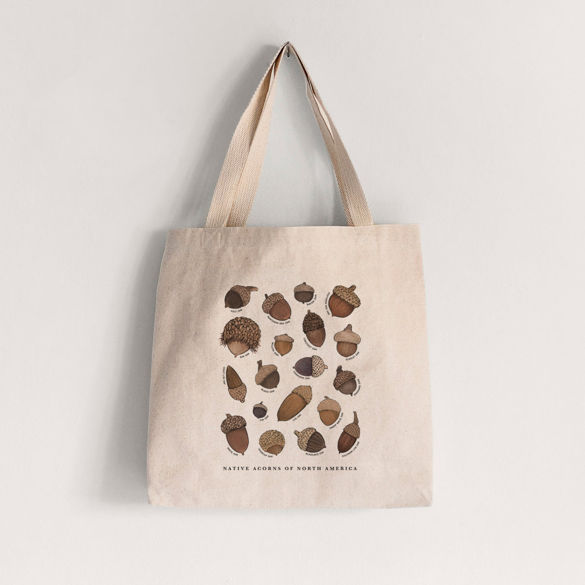 Native Acorns of North America - Tote Bag