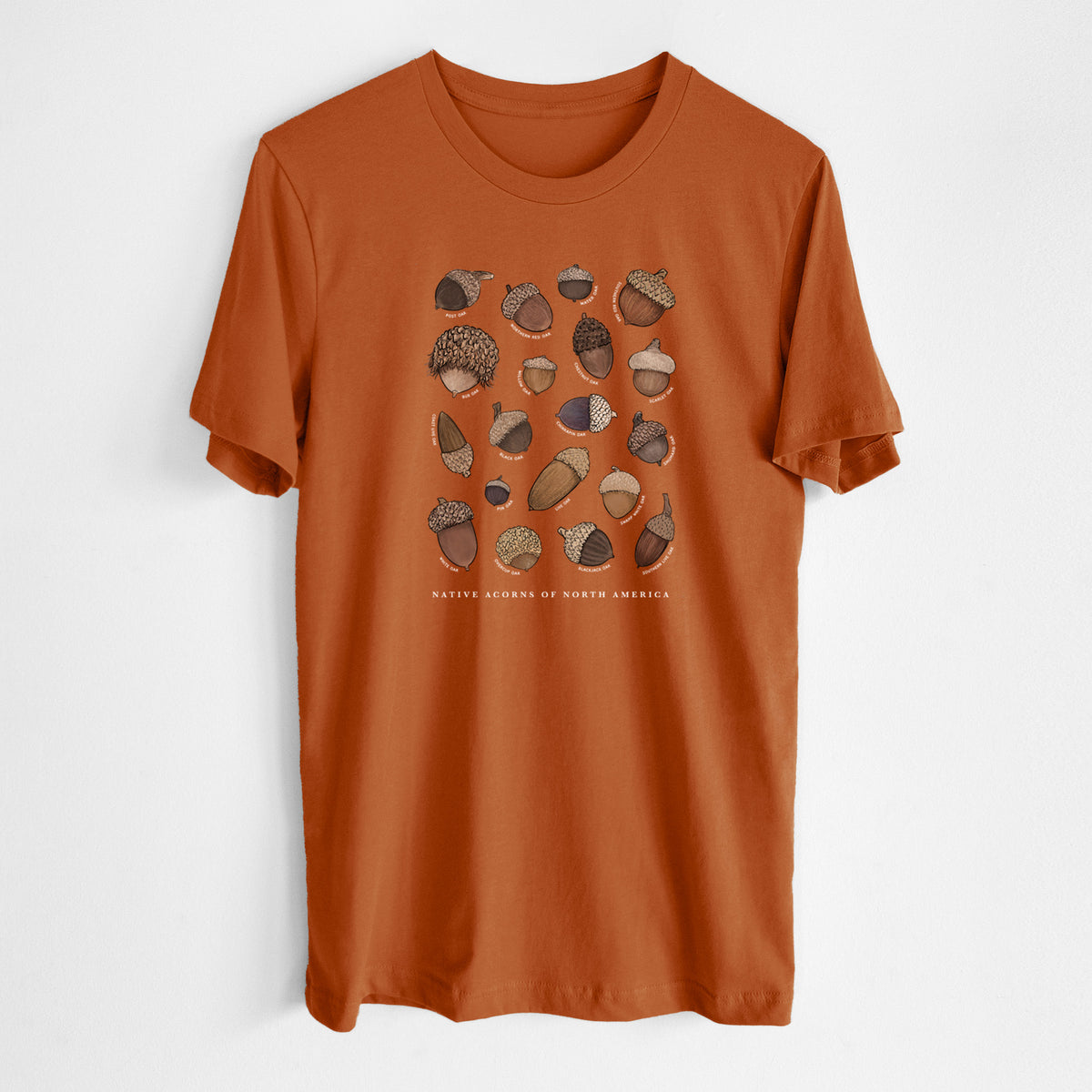 Native Acorns of North America - Lightweight 100% Cotton Unisex Crewneck