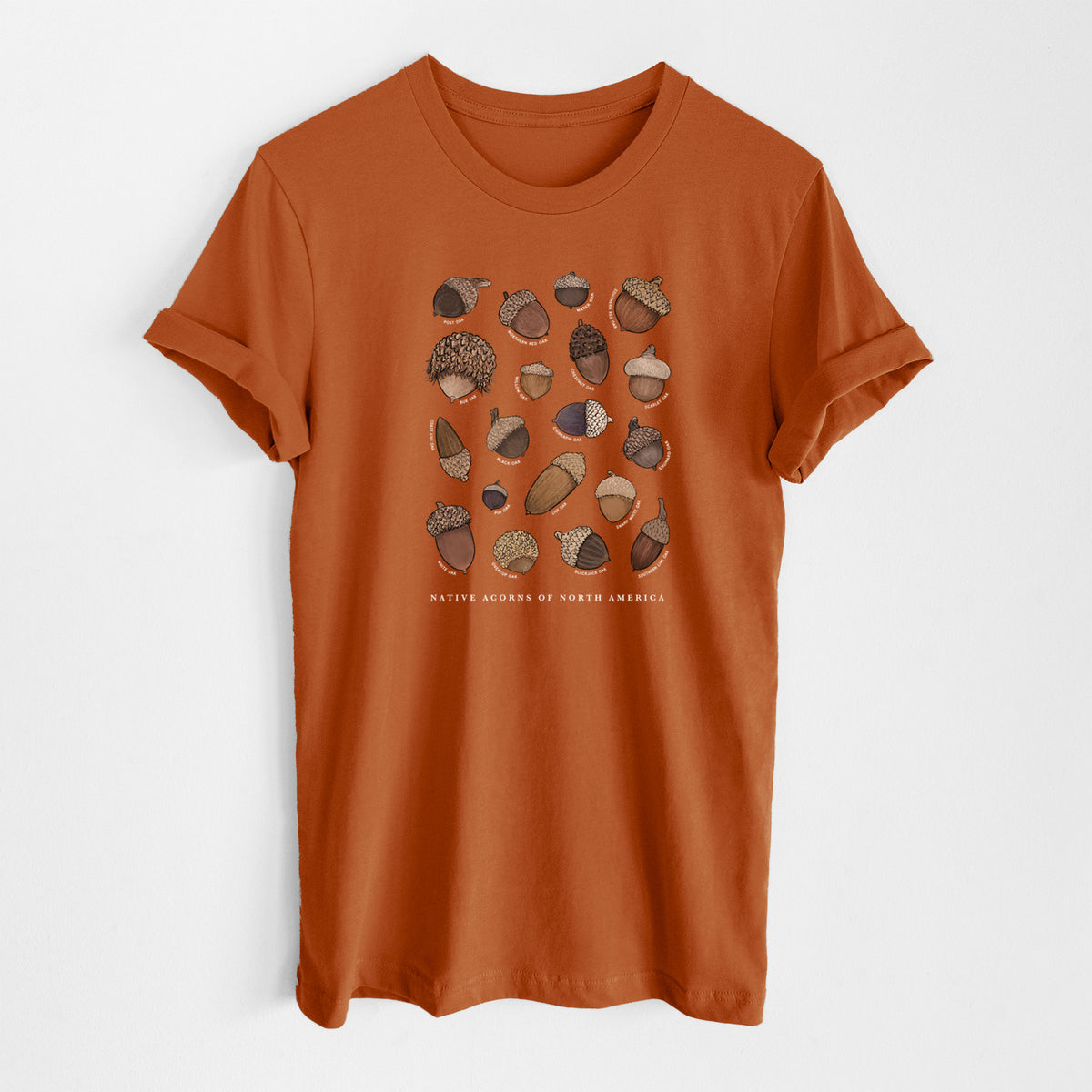 Native Acorns of North America - Lightweight 100% Cotton Unisex Crewneck