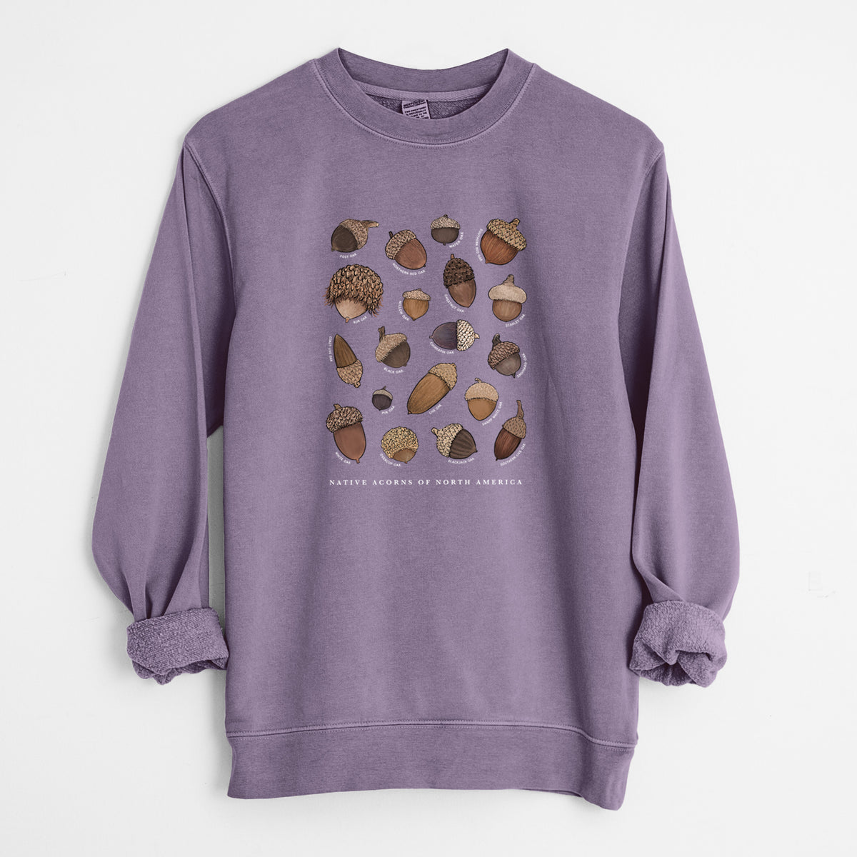 Native Acorns of North America - Unisex Pigment Dyed Crew Sweatshirt