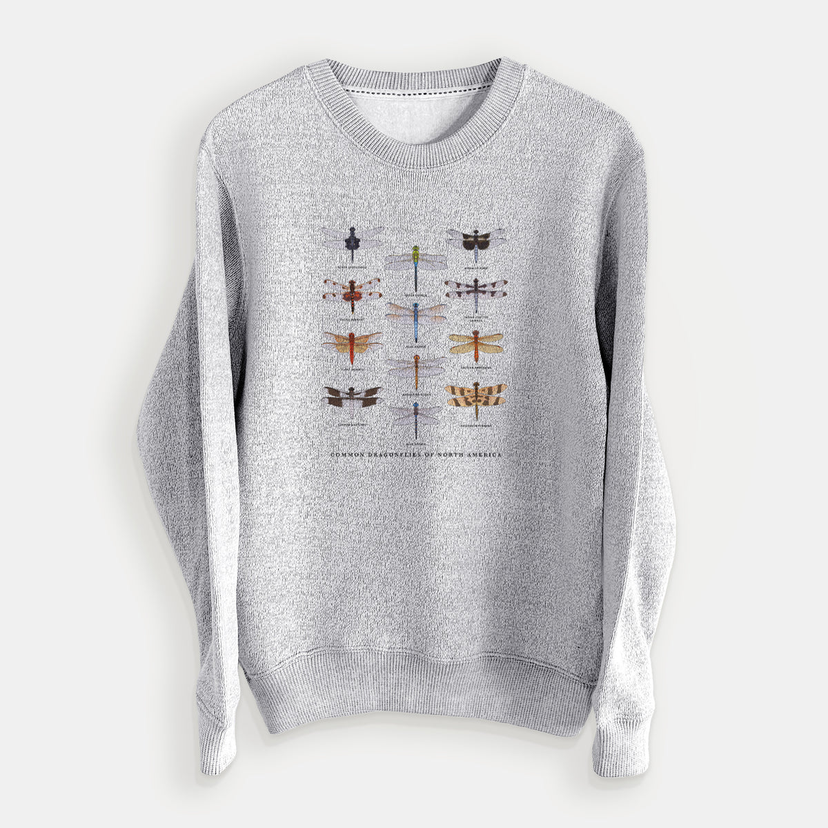 Common Dragonflies of North America - Knit Sweatshirt