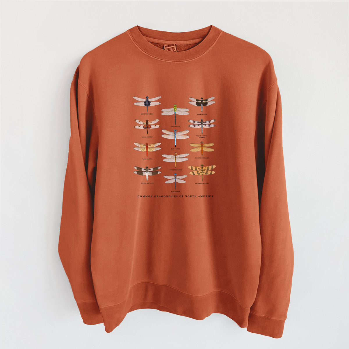 Common Dragonflies of North America - Unisex Pigment Dyed Crew Sweatshirt