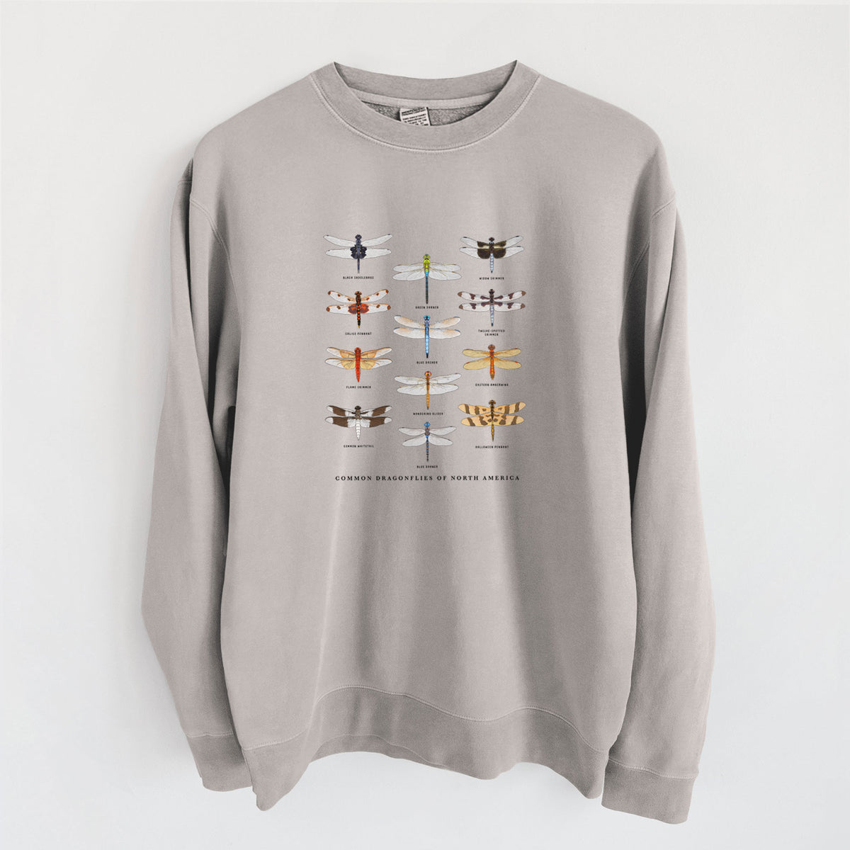 Common Dragonflies of North America - Unisex Pigment Dyed Crew Sweatshirt