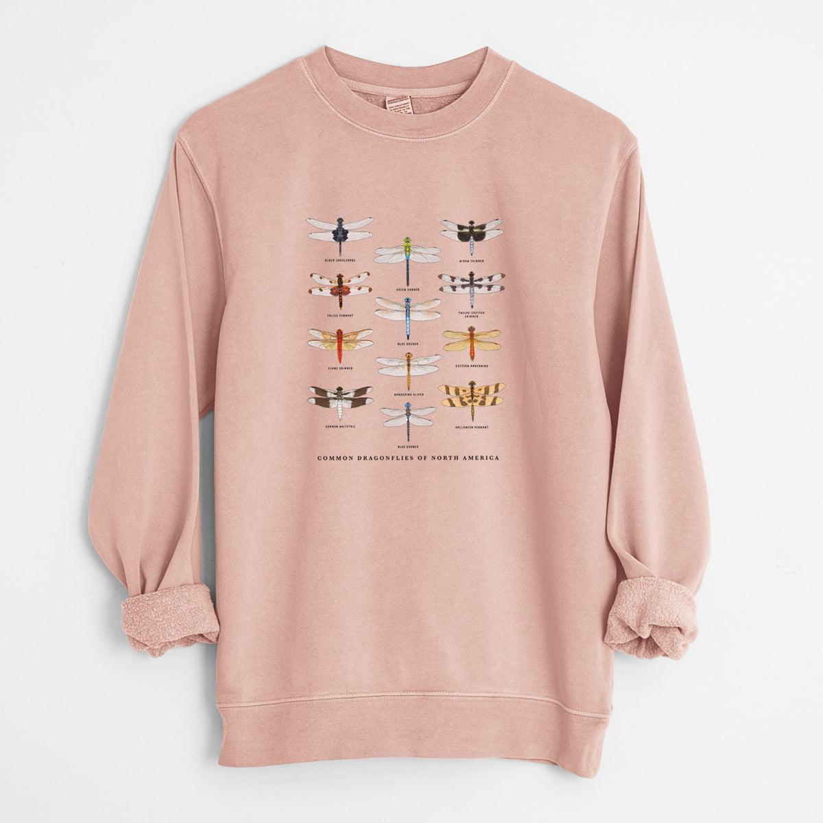 Common Dragonflies of North America - Unisex Pigment Dyed Crew Sweatshirt