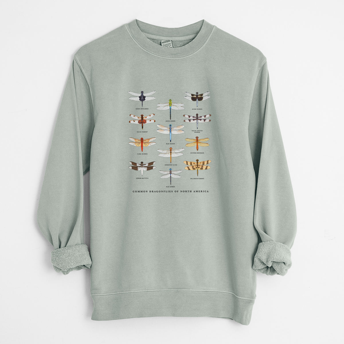 Common Dragonflies of North America - Unisex Pigment Dyed Crew Sweatshirt