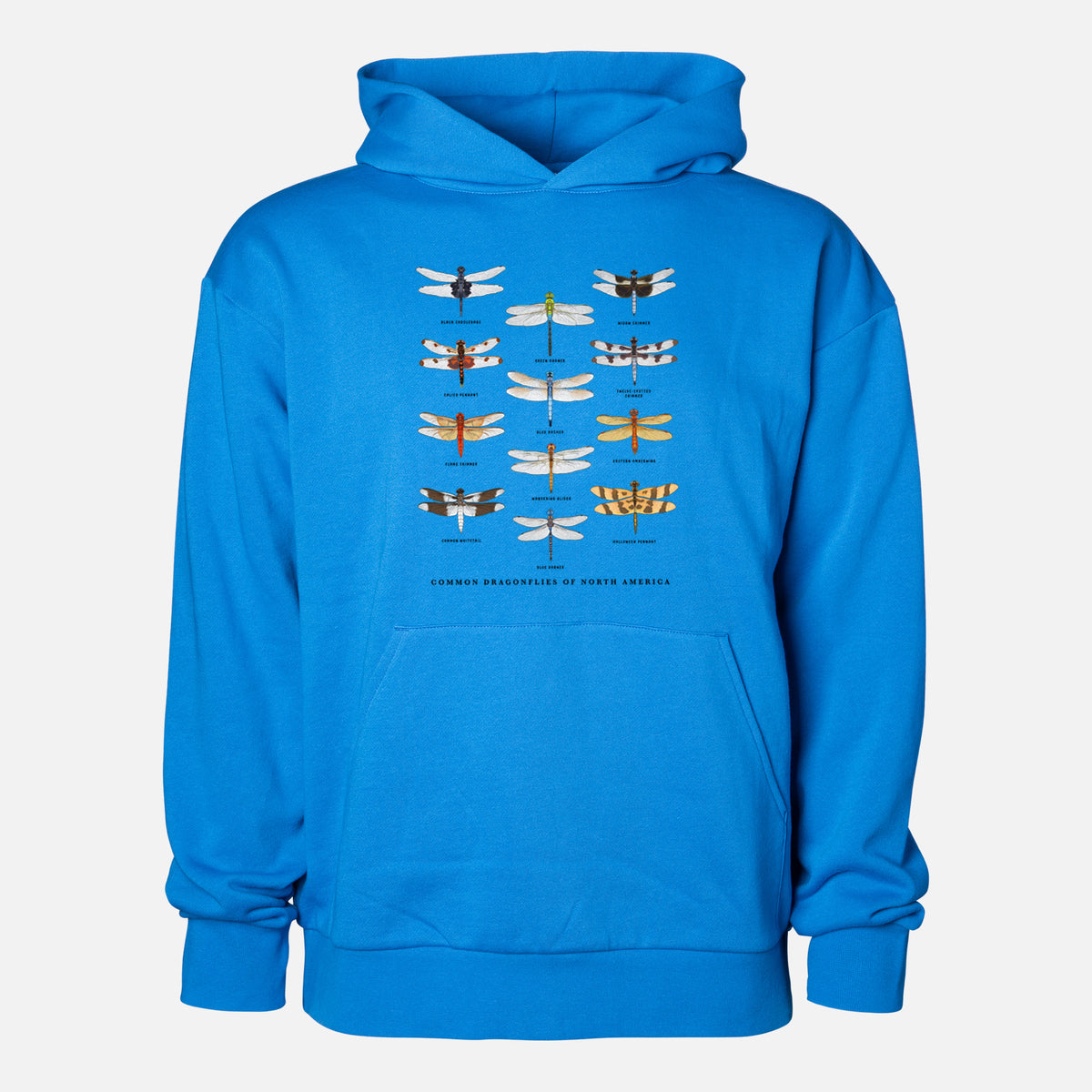 Common Dragonflies of North America - Statement Midweight Hoodie in Azure Blue, shown from the front with the design printed on the chest above a front kangaroo pocket.