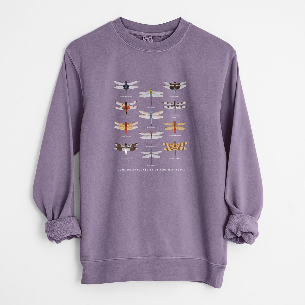 Common Dragonflies of North America - Unisex Pigment Dyed Crew Sweatshirt